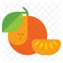 Mandarin Orange Fruit  アイコン