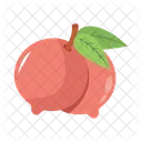 Juicy Tropical Orange Icon