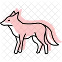 Maned Wolf Maned Wolf Icon