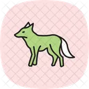 Maned Wolf Maned Wolf Icon