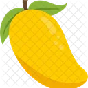 Vitamin Fruit Kiwi Icon