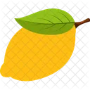Mango Fruit Vegetable Icon