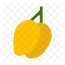 Mango Food Fruit Icon