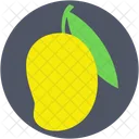 Mango Fruit Stone Icon