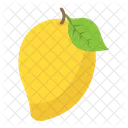 Mango Fruit Yellow Icon