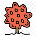 Mango Tree  Icon
