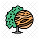 Mango Wood Icon