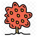 Mango Baum  Symbol