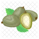 Mangos verdes  Icono