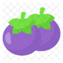 Mangostao Fruta Tropical Icon