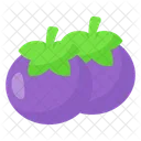 Mangosteen Fruit Tropical Icon