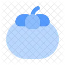 Mangosteen Fruit Organic Icon