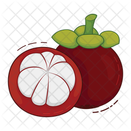 mangosteen icon of flat style available in svg png eps ai icon fonts mangosteen icon