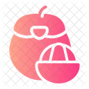 Mangosteen  Icon