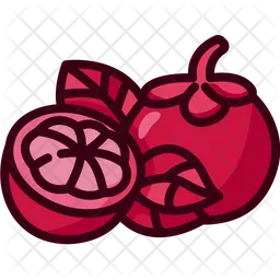 Mangosteen  Icon