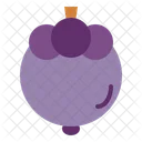 Mangosteen  Icon