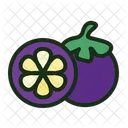 Mangosteen Fruit Mangosteen Sumatran Icon