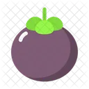 Mangosteen Fruit Healthy Icon