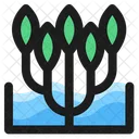 Mangrove  Icon