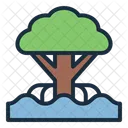 Mangrove Tree Plant Icon