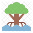 Mangrove Tree Plant Icon