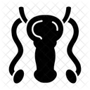 Männliches Fortpflanzungsorgan  Symbol
