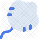 Manta  Icon
