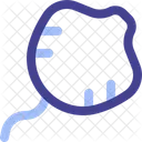 Manta  Icon