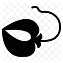 Fish Animal Ocean Icon
