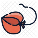 Fish Animal Ocean Icon