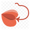 Manta Ray Fish Animal Icon