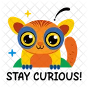 Mantente Curioso Galago Animal Icon