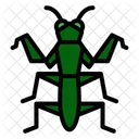 Mantis  Icon