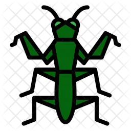 Mantis  Icon