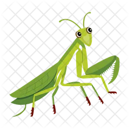 Mantis  Icon