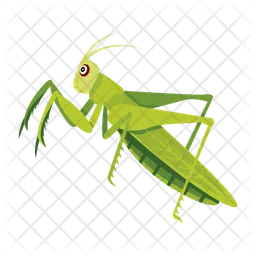 Mantis  Icon