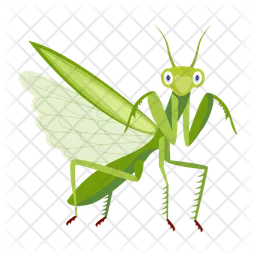 Mantis  Icono