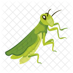 Mantis  Icono