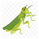 Praying Mantis Icons Cute Mantis Mantodea Icon