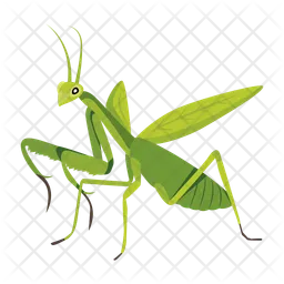 Mantis  Icon