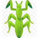 Mantis Insect Bug Icon