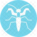 Mantis  Icon