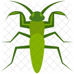 Mantis  Icon