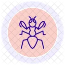 Mantis Insect Praying Icon