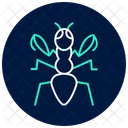 Mantis Insect Praying Icon