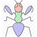 Mantis Insect Praying Icon