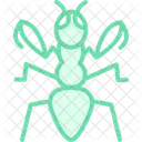 Mantis Insect Praying Icon