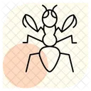 Mantis Insect Praying Icon