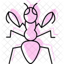 Mantis Insect Praying Icon