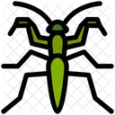 Mantis  アイコン